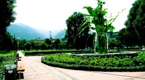 3400237717_b4af81f03f_o