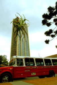 3401044510_a971cb8860_o