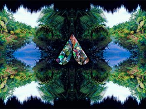 028_final_jungle-header